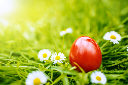 Frohe Ostern!