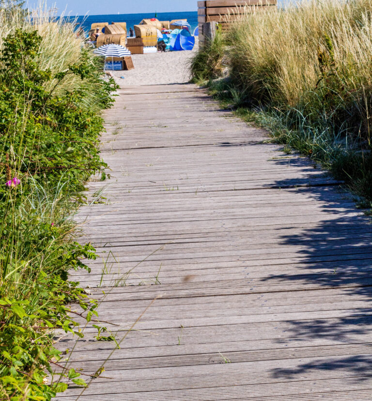 Ob am Meer, am See, in den Bergen oder Zuhause - wir wünschen eine schöne Ferienzeit!