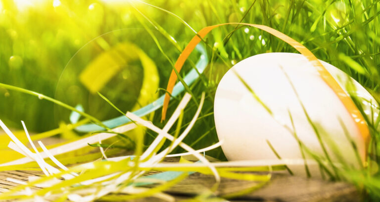 Frohe Ostern und viel Spaß bei der Eiersuche!